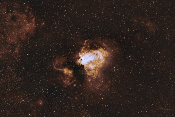 foraxx omega crop-2025
