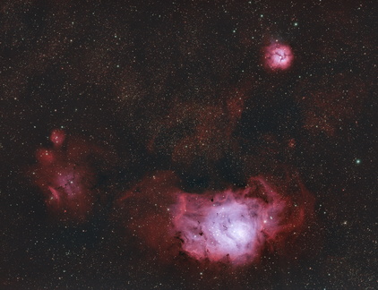 trifid rgb-2025
