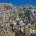 G0168267