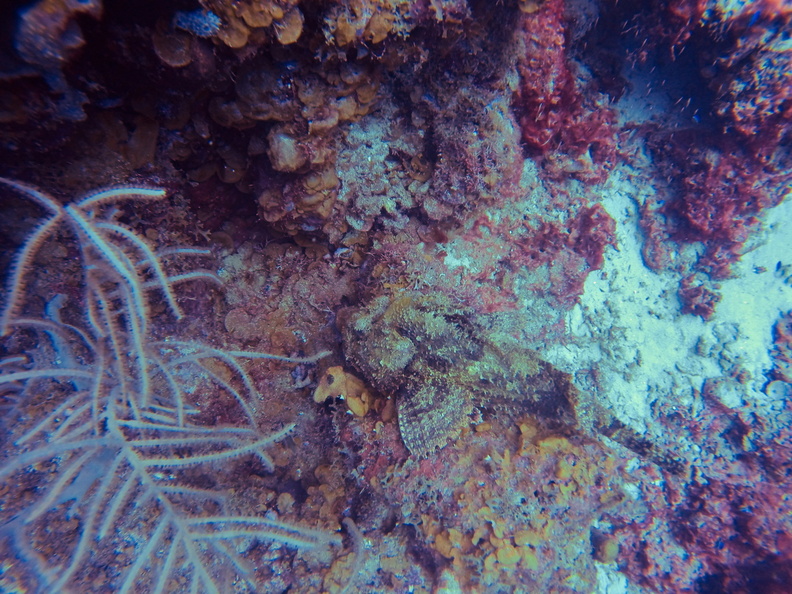 G0528411.jpg