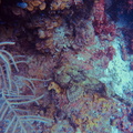 G0528411