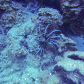 G0868560