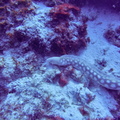 G1048674