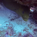 G1338822