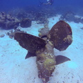 G2169206