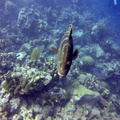 GOPR0200