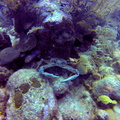 GOPR0215 lzn